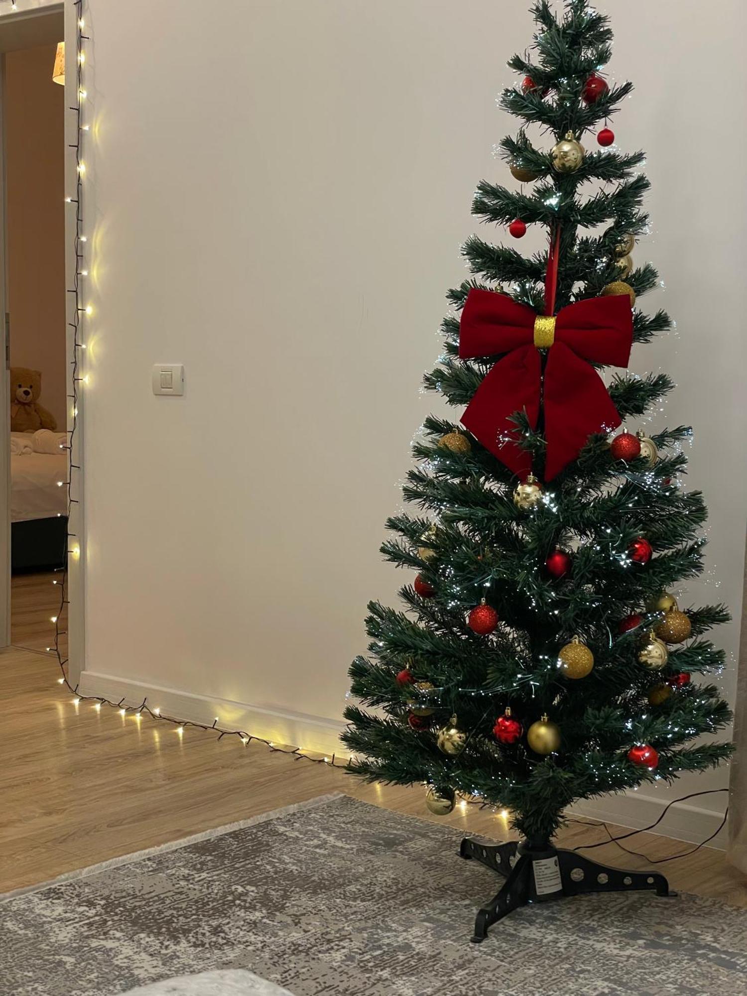 Negruzzi Apartment Dumbravita  Ngoại thất bức ảnh